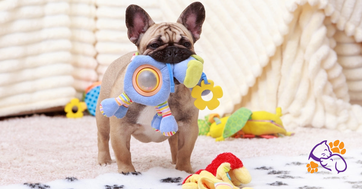 How to Choose the Best Dog and Cat Toys for Different Breeds