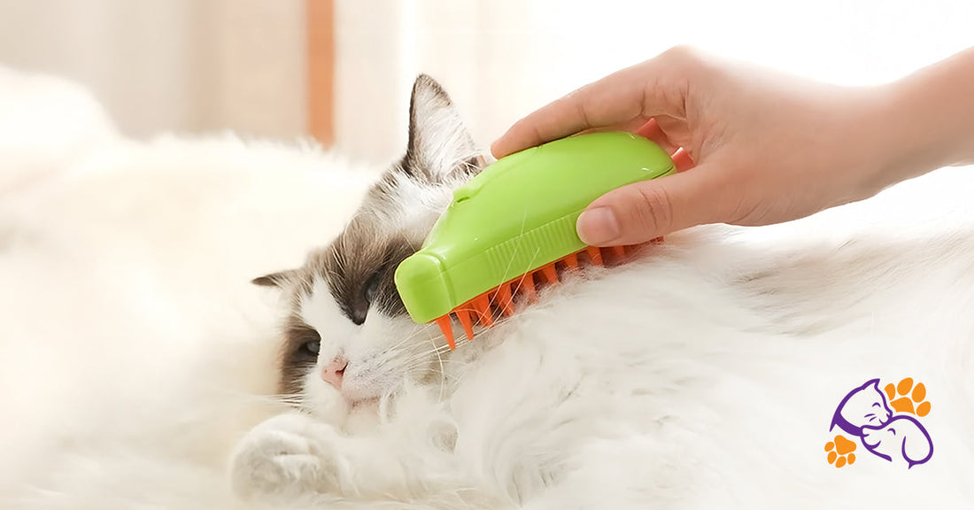 How to Use a Steam Brush for Tangle-Free Pet Grooming