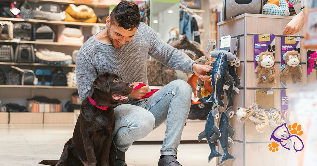 Top 10 Must-Have Pet Products for Cats and Dogs | Pet Pawfects