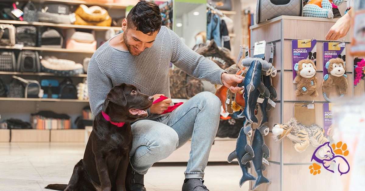 Top 10 Must-Have Pet Products for Cats and Dogs | Pet Pawfects
