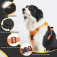 Flexible Retractable Leash for Medium-Large Dogs