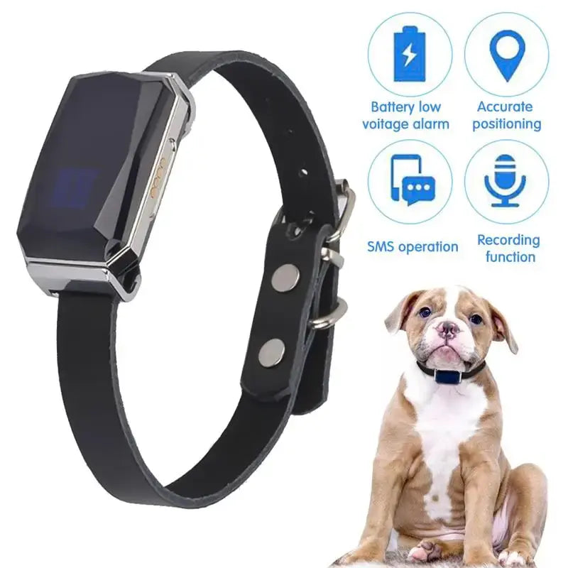 Smart Collar Waterproof Pet Locator